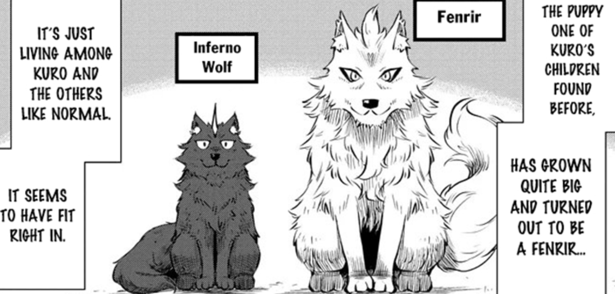 0e6RftJ.png