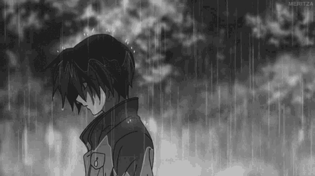 IMG-0568.gif