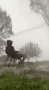 imperador-paulo.gif