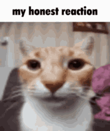 n5Br6Is.gif