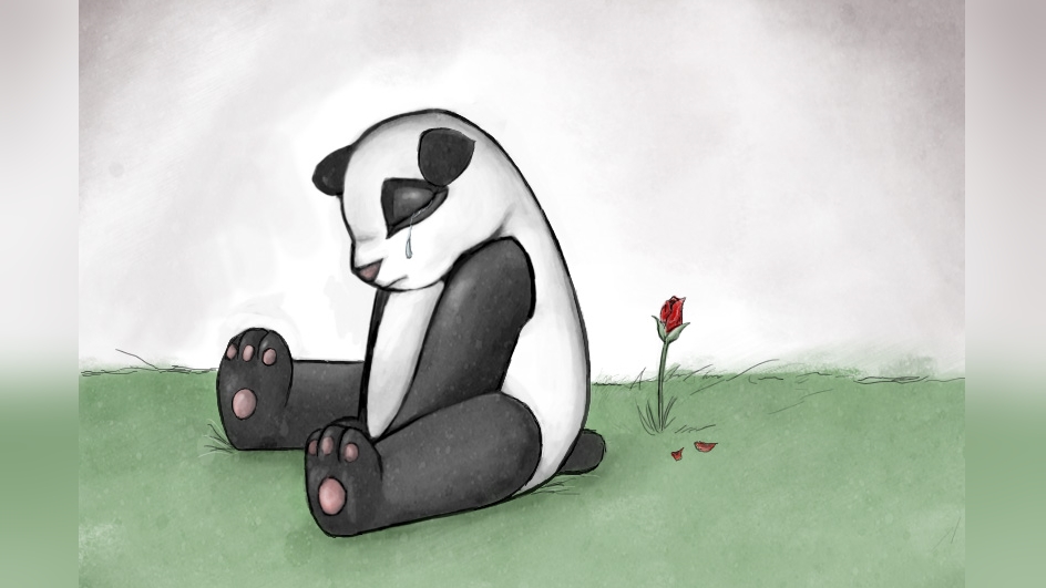 cover4.jpg