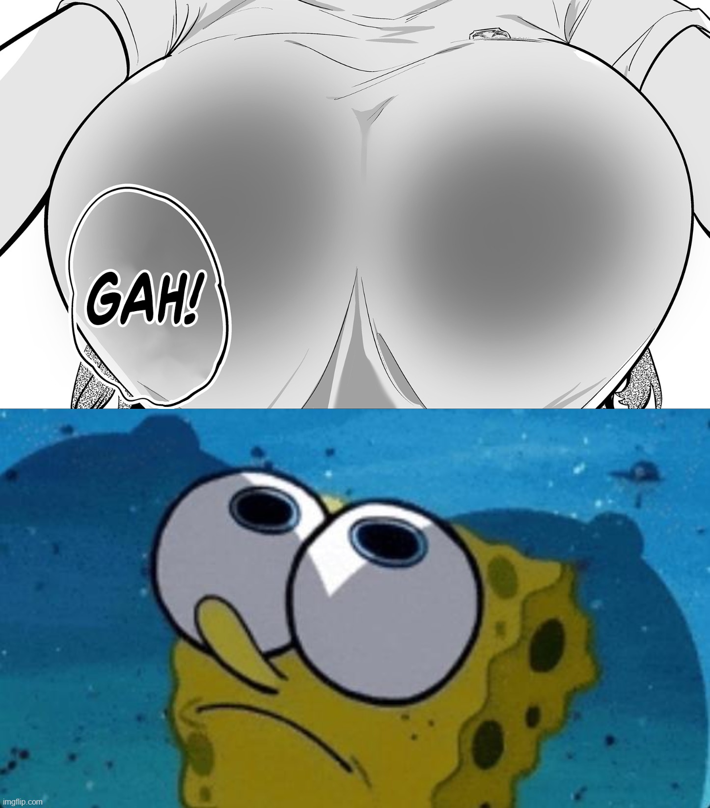 ayv7t2.jpg