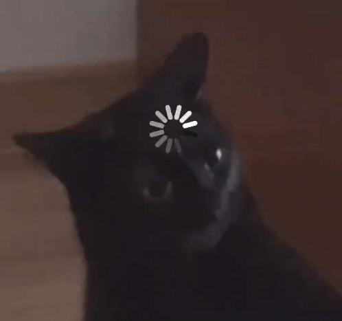 midnight-the-cat-stopped-working-midnight-the-cat.gif