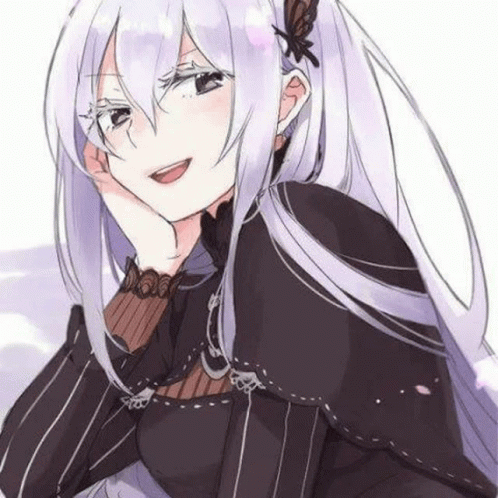 echidna-ara-ara.gif