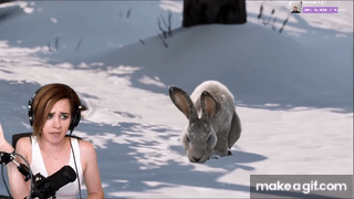 nV0I2_.gif