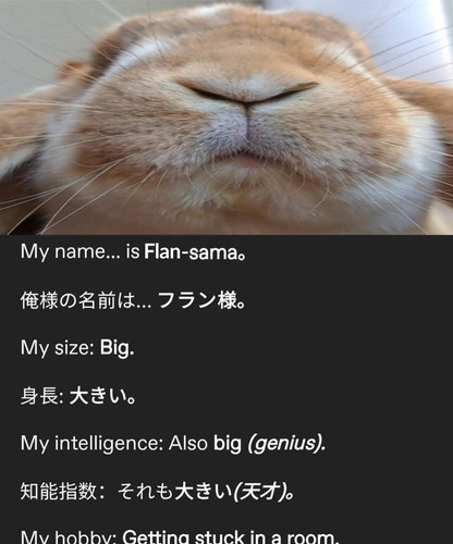 CzXpYkN.md.jpg