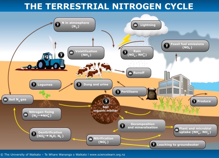 ITV_TerrestrialNitrogenCycle_BG-Plate_Dec2018.jpeg