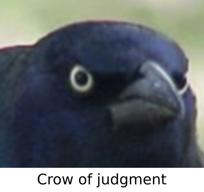 439.png