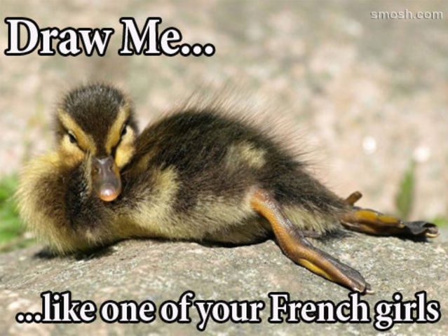 Draw-me-like-one-of-your-french-girls-Duck-Meme.jpg