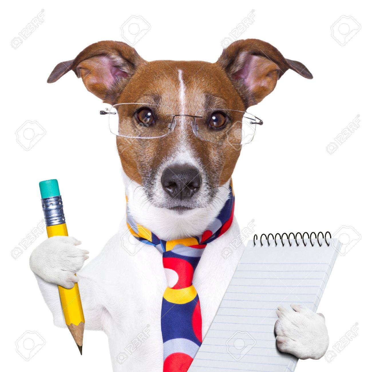 17610555-accountant-dog-with-pencil-and-notepad.jpg