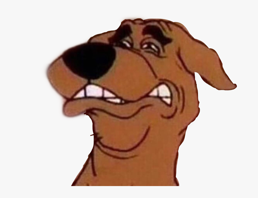 91-916161_meme-memes-disgusted-disgusting-scoobydoo-scooby-doo-scooby.png